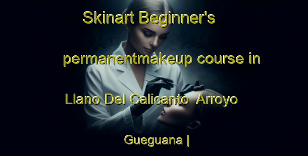 Skinart Beginner's permanentmakeup course in Llano Del Calicanto  Arroyo Gueguana | PermanentmakeupTraining | PermanentmakeupClasses | SkinartTraining-Mexico